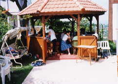 �e�B�{�[���搶��